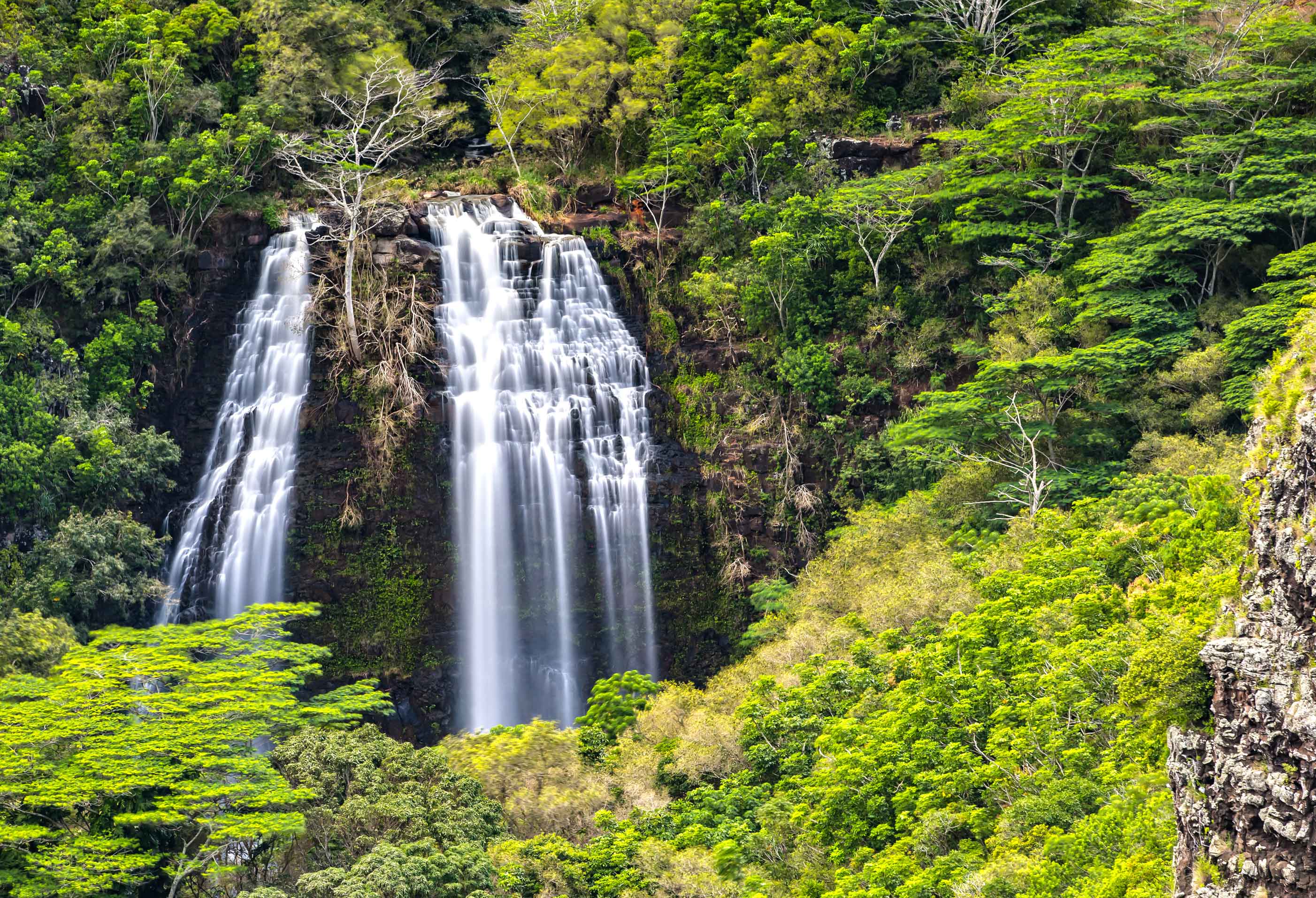 ‘Opaeka‘a Falls - Wailua Heritage Trail